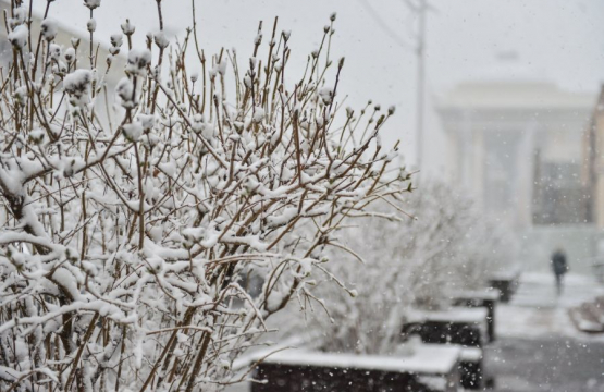 Энэ сарын дунд үед хүйтэрч, ихэнх нутгаар хур тунадас орно