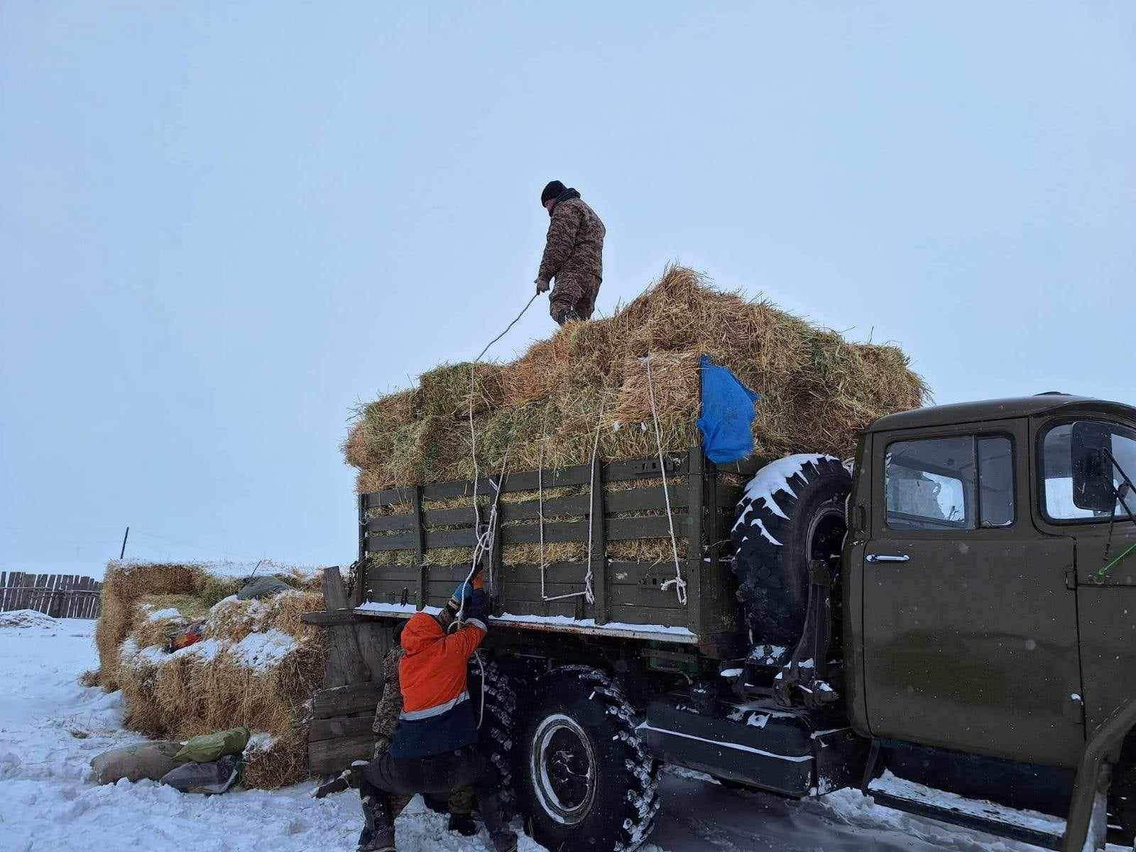 АТҮТ: 2025-2026 оны өвөлжилтийн бэлтгэл хангах төлөвлөгөө 73 хувийн биелэлттэй байна