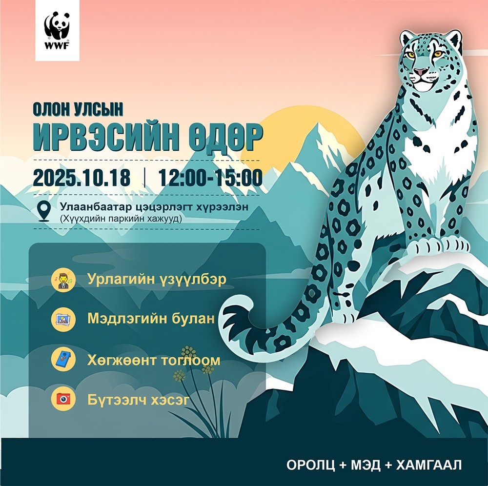 “Цоохор ирвэс хамгаалах олон улсын өдөр”-ийг маргааш тэмдэглэнэ