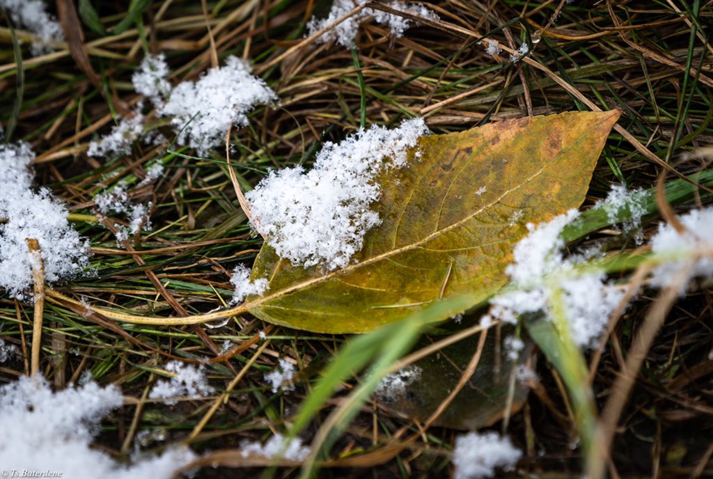 Энэ долоо хоног: Цаг агаар бага зэргийн дулаарах төлөвтэй байна
