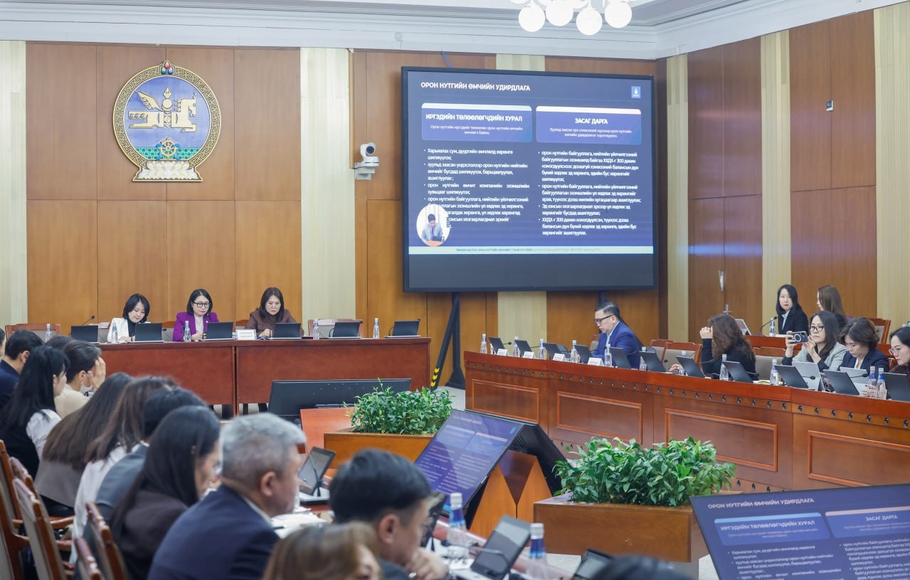 Төрийн болон орон нутгийн өмчийн тухай хуулийг иргэдэд үр ашигтай байдлаар шинэчлэн найруулна